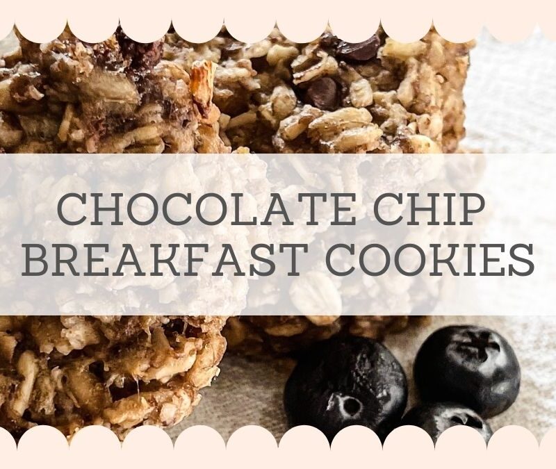 Chocolate Chip Breakfast Cookies — Perfect Easy Summer Recipe