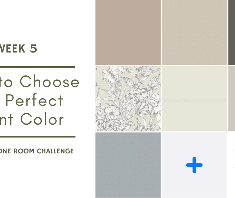 Tips on How to Choose the Perfect Paint Color – Week 5 of the Fall ORC